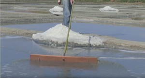 Vidéo - 2. - La fabrication du sel de Guérande