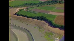 Vidéo - Chapitre 9 - Les côtes bretonnes envahies par des algues vertes